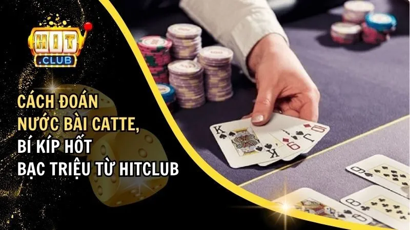 cách đoán nước bài catte